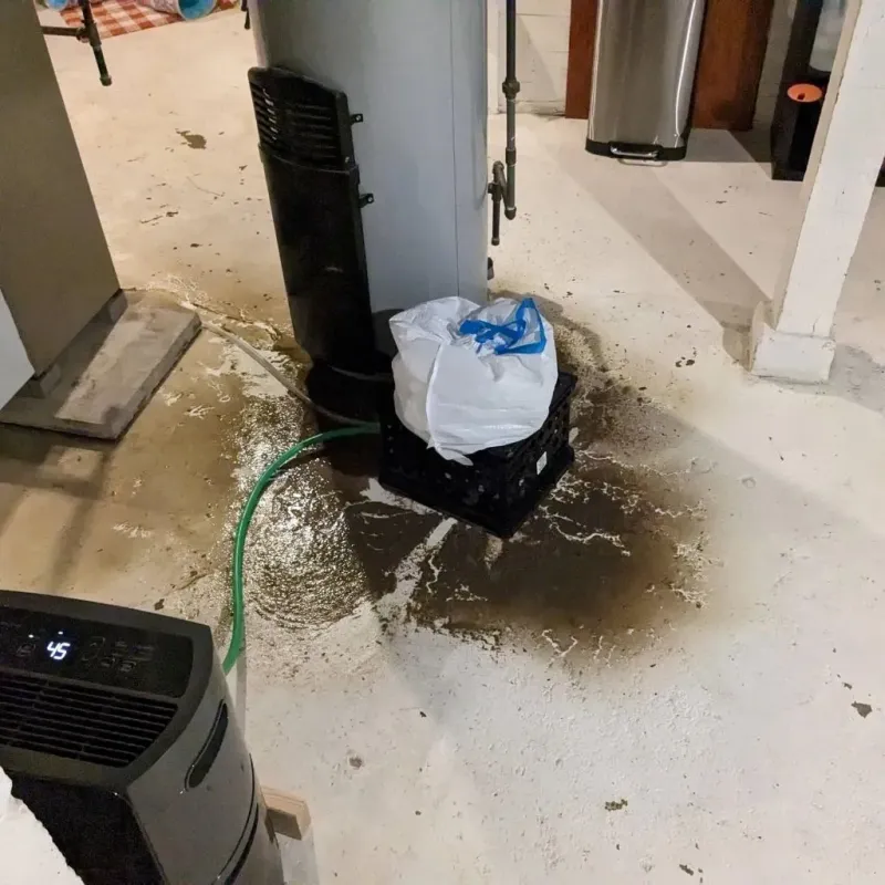 Sewage Backup Cleanup Service in Towner, ND